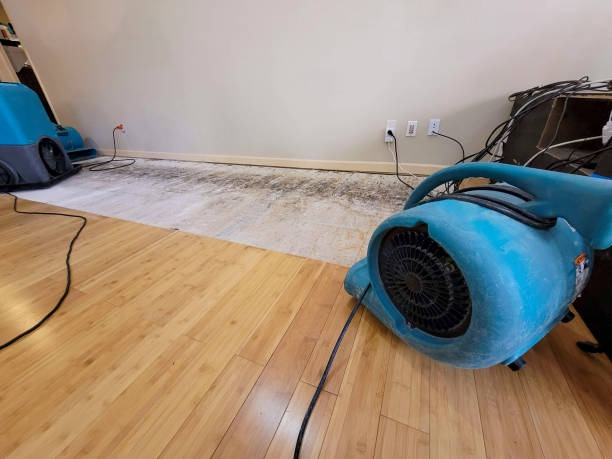 Professional Burst Pipe Water Damage technician working in Aberdeen, SD